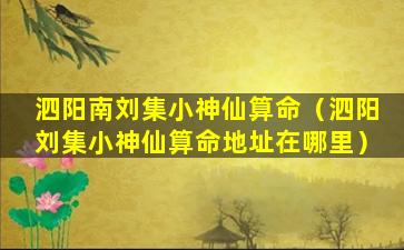 泗阳南刘集小神仙算命（泗阳刘集小神仙算命地址在哪里）