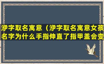 洢字取名寓意（洢字取名寓意女孩名字为什么手指伸直了指甲盖会变白呢）