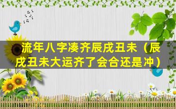 流年八字凑齐辰戌丑未（辰戌丑未大运齐了会合还是冲）