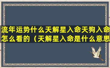 流年运势什么天解星入命天狗入命怎么看的（天解星入命是什么意思）