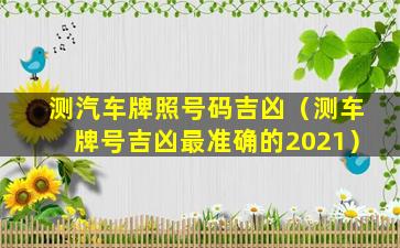 测汽车牌照号码吉凶（测车牌号吉凶最准确的2021）