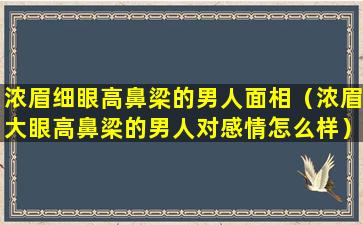 浓眉细眼高鼻梁的男人面相（浓眉大眼高鼻梁的男人对感情怎么样）