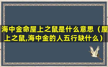 海中金命屋上之鼠是什么意思（屋上之鼠,海中金的人五行缺什么）