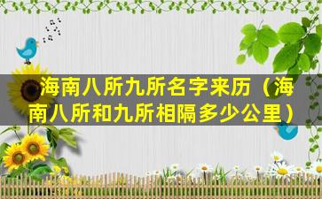 海南八所九所名字来历（海南八所和九所相隔多少公里）