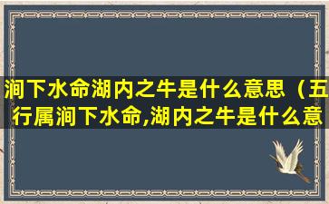 涧下水命湖内之牛是什么意思（五行属涧下水命,湖内之牛是什么意思）