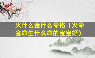 火什么金什么命格（火命金命生什么命的宝宝好）