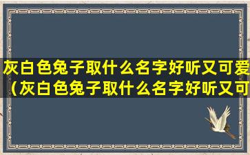 灰白色兔子取什么名字好听又可爱（灰白色兔子取什么名字好听又可爱女生）