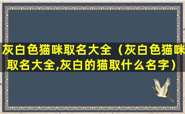 灰白色猫咪取名大全（灰白色猫咪取名大全,灰白的猫取什么名字）