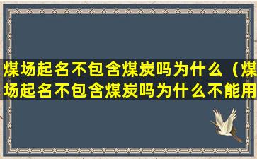 煤场起名不包含煤炭吗为什么（煤场起名不包含煤炭吗为什么不能用）