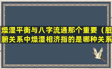 燥湿平衡与八字流通那个重要（脏腑关系中燥湿相济指的是哪种关系）