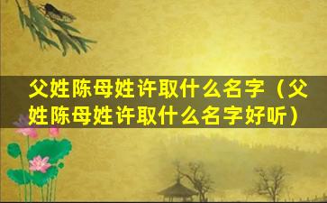 父姓陈母姓许取什么名字（父姓陈母姓许取什么名字好听）