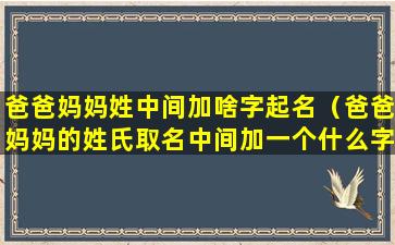 爸爸妈妈姓中间加啥字起名（爸爸妈妈的姓氏取名中间加一个什么字）