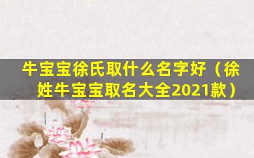 牛宝宝徐氏取什么名字好（徐姓牛宝宝取名大全2021款）