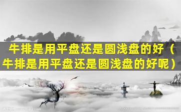 牛排是用平盘还是圆浅盘的好（牛排是用平盘还是圆浅盘的好呢）