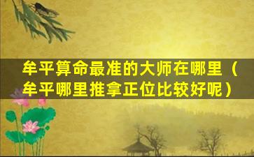 牟平算命最准的大师在哪里（牟平哪里推拿正位比较好呢）