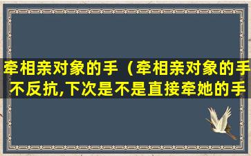 牵相亲对象的手（牵相亲对象的手不反抗,下次是不是直接牵她的手）