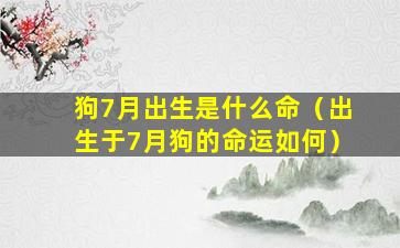 狗7月出生是什么命（出生于7月狗的命运如何）