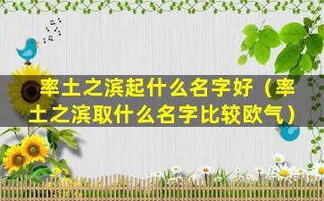 率土之滨起什么名字好（率土之滨取什么名字比较欧气）