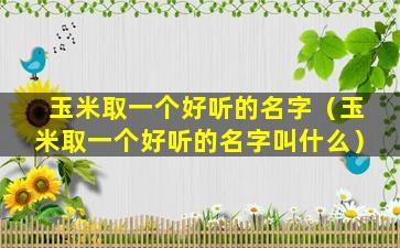 玉米取一个好听的名字（玉米取一个好听的名字叫什么）