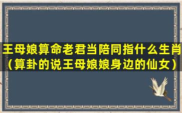 王母娘算命老君当陪同指什么生肖（算卦的说王母娘娘身边的仙女）