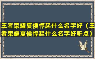 王者荣耀夏侯惇起什么名字好（王者荣耀夏侯惇起什么名字好听点）