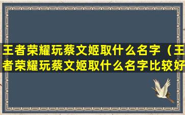 王者荣耀玩蔡文姬取什么名字（王者荣耀玩蔡文姬取什么名字比较好）