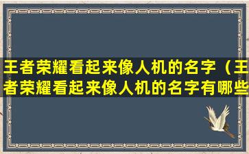 王者荣耀看起来像人机的名字（王者荣耀看起来像人机的名字有哪些）