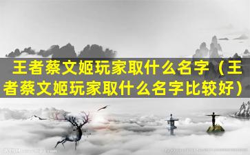 王者蔡文姬玩家取什么名字（王者蔡文姬玩家取什么名字比较好）