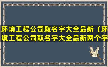 环境工程公司取名字大全最新（环境工程公司取名字大全最新两个字）