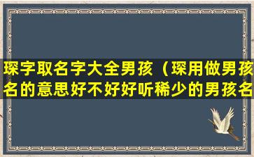 琛字取名字大全男孩（琛用做男孩名的意思好不好好听稀少的男孩名字）