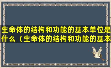 生命体的结构和功能的基本单位是什么（生命体的结构和功能的基本单位是什么意思）