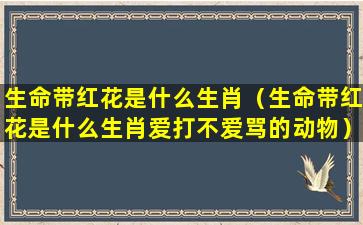 生命带红花是什么生肖（生命带红花是什么生肖爱打不爱骂的动物）