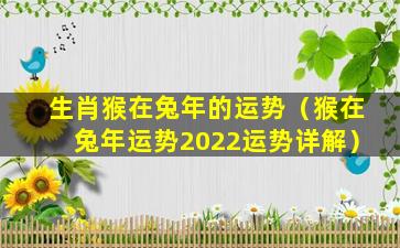 生肖猴在兔年的运势（猴在兔年运势2022运势详解）