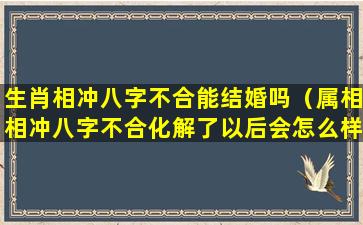 生肖相冲八字不合能结婚吗（属相相冲八字不合化解了以后会怎么样）