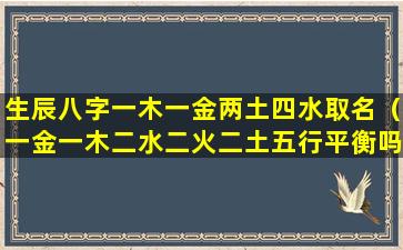 生辰八字一木一金两土四水取名（一金一木二水二火二土五行平衡吗）