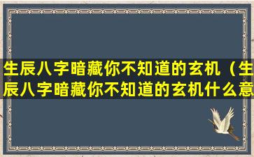 生辰八字暗藏你不知道的玄机（生辰八字暗藏你不知道的玄机什么意思）