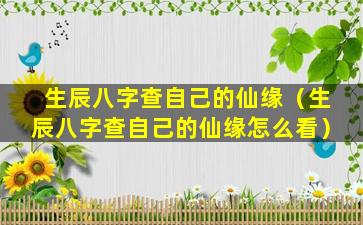 生辰八字查自己的仙缘（生辰八字查自己的仙缘怎么看）