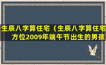 生辰八字算住宅（生辰八字算住宅方位2009年端午节出生的男孩）