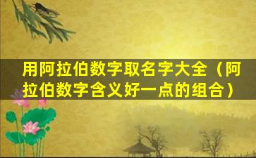 用阿拉伯数字取名字大全（阿拉伯数字含义好一点的组合）