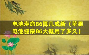 电池寿命86算几成新（苹果电池健康86大概用了多久）