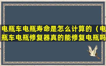 电瓶车电瓶寿命是怎么计算的（电瓶车电瓶修复器真的能修复电瓶吗）