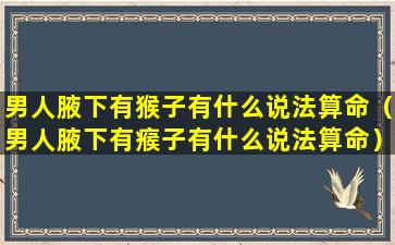 男人腋下有猴子有什么说法算命（男人腋下有瘊子有什么说法算命）