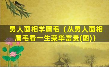 男人面相学眉毛（从男人面相眉毛看一生荣华富贵(图)）