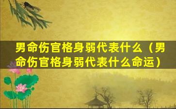 男命伤官格身弱代表什么（男命伤官格身弱代表什么命运）