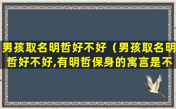 男孩取名明哲好不好（男孩取名明哲好不好,有明哲保身的寓言是不是不好）