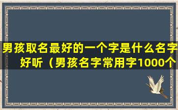 男孩取名最好的一个字是什么名字好听（男孩名字常用字1000个男孩取名一个字）
