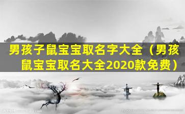 男孩子鼠宝宝取名字大全（男孩鼠宝宝取名大全2020款免费）