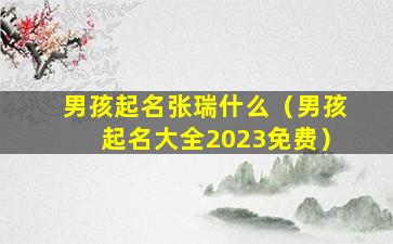 男孩起名张瑞什么（男孩起名大全2023免费）