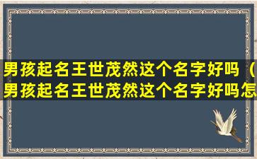 男孩起名王世茂然这个名字好吗（男孩起名王世茂然这个名字好吗怎么样）