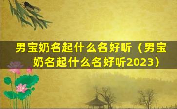 男宝奶名起什么名好听（男宝奶名起什么名好听2023）